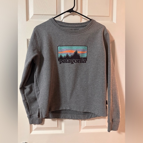 Patagonia sweatshirt - Picture 1 of 6